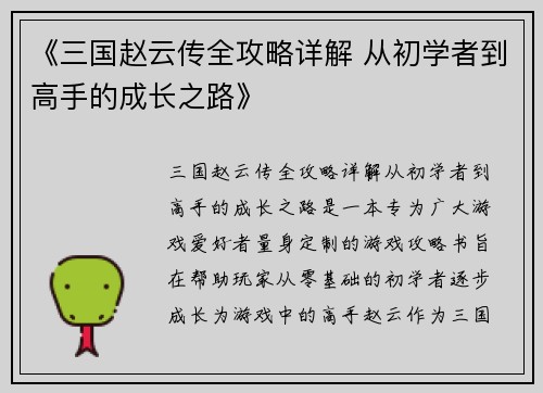 《三国赵云传全攻略详解 从初学者到高手的成长之路》